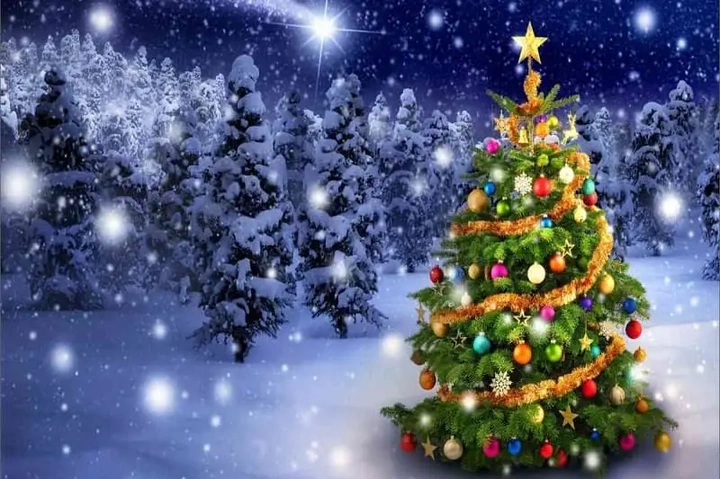 Tải Hình Ảnh Cây Thông Noel Miễn Phí: Bộ Sưu Tập Đầy Đủ Cho Mọi Nhu Cầu (dành Cho Người Yêu Thiết Kế & Trang Trí) Tải Hình Ảnh Cây Thông Noel Miễn Phí: Bộ Sưu Tập Đầy Đủ Cho Mọi Nhu Cầu (dành Cho Người Yêu Thiết Kế & Trang Trí)