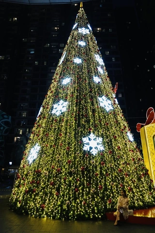 Tải Hình Ảnh Cây Thông Noel Miễn Phí: Bộ Sưu Tập Đầy Đủ Cho Mọi Nhu Cầu (dành Cho Người Yêu Thiết Kế & Trang Trí) Tải Hình Ảnh Cây Thông Noel Miễn Phí: Bộ Sưu Tập Đầy Đủ Cho Mọi Nhu Cầu (dành Cho Người Yêu Thiết Kế & Trang Trí)