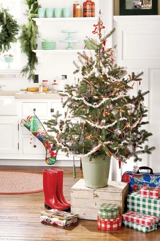 Tải Hình Ảnh Cây Thông Noel Miễn Phí: Bộ Sưu Tập Đầy Đủ Cho Mọi Nhu Cầu (dành Cho Người Yêu Thiết Kế & Trang Trí) Tải Hình Ảnh Cây Thông Noel Miễn Phí: Bộ Sưu Tập Đầy Đủ Cho Mọi Nhu Cầu (dành Cho Người Yêu Thiết Kế & Trang Trí)