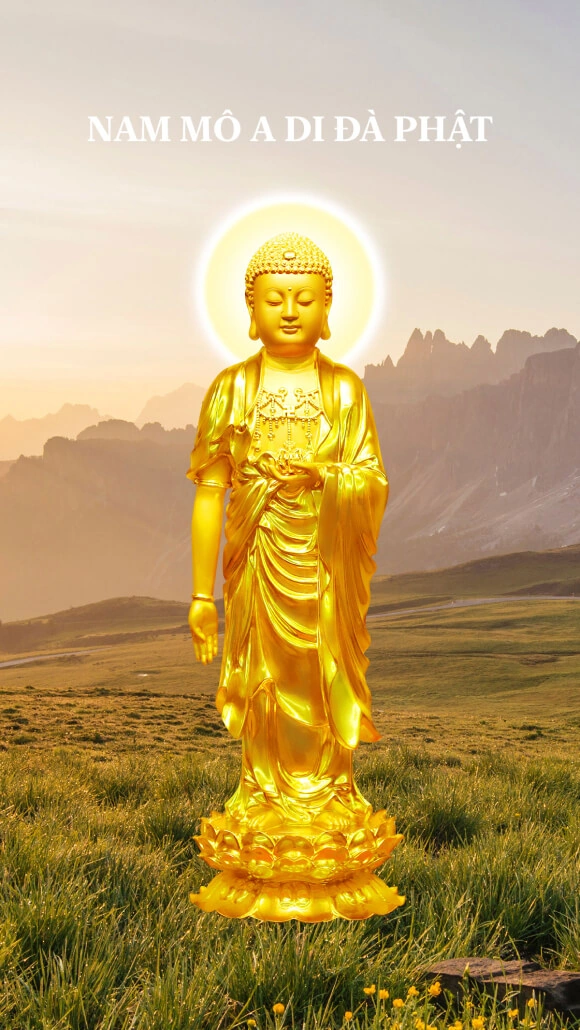 100+ Hình Ảnh Phật Đẹp Độ Phân Giải Cao 2026 – Tải Ngay Để Dùng Cho Wallpaper, Avatar, In Ấn? 100+ Hình Ảnh Phật Đẹp Độ Phân Giải Cao 2026 – Tải Ngay Để Dùng Cho Wallpaper, Avatar, In Ấn?