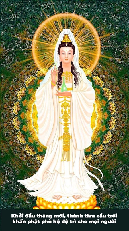 100+ Hình Ảnh Phật Đẹp Độ Phân Giải Cao 2026 – Tải Ngay Để Dùng Cho Wallpaper, Avatar, In Ấn? 100+ Hình Ảnh Phật Đẹp Độ Phân Giải Cao 2026 – Tải Ngay Để Dùng Cho Wallpaper, Avatar, In Ấn?