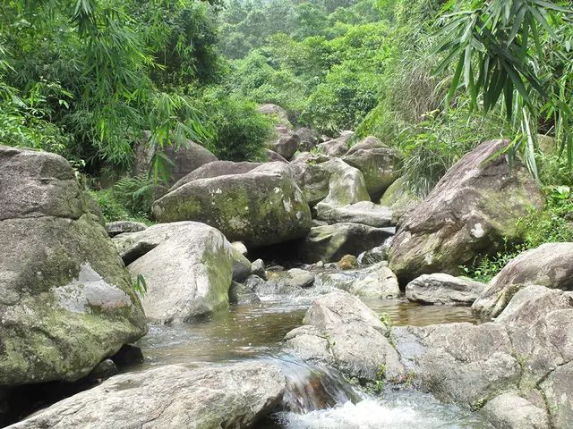 Khám Phá Thác Bay Vĩnh Phúc: Điểm Đến Hoang Sơ Giữa Lòng Núi Sáng Khám Phá Thác Bay Vĩnh Phúc: Điểm Đến Hoang Sơ Giữa Lòng Núi Sáng