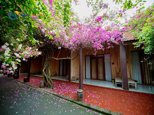Thảo Viên Resort Sơn Tây – Địa Chỉ, Cách Đi, Dịch Vụ & Cách Đặt Phòng Nhanh Thảo Viên Resort Sơn Tây – Địa Chỉ, Cách Đi, Dịch Vụ & Cách Đặt Phòng Nhanh