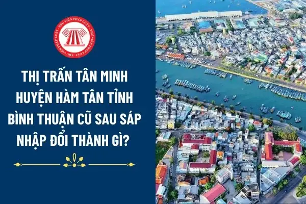 Thông Tin Mới Nhất Về Địa Giới Hành Chính Phường Minh Tân, Thị Xã Kinh Môn