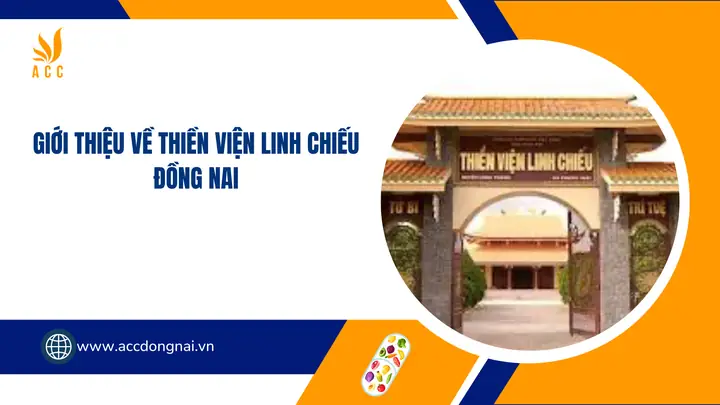 Thông Tin Chi Tiết Thiền Viện Linh Chiếu Đồng Nai: Địa Chỉ, Lịch Mở Cửa, Lịch Sử Và Cách Đến Thông Tin Chi Tiết Thiền Viện Linh Chiếu Đồng Nai: Địa Chỉ, Lịch Mở Cửa, Lịch Sử Và Cách Đến
