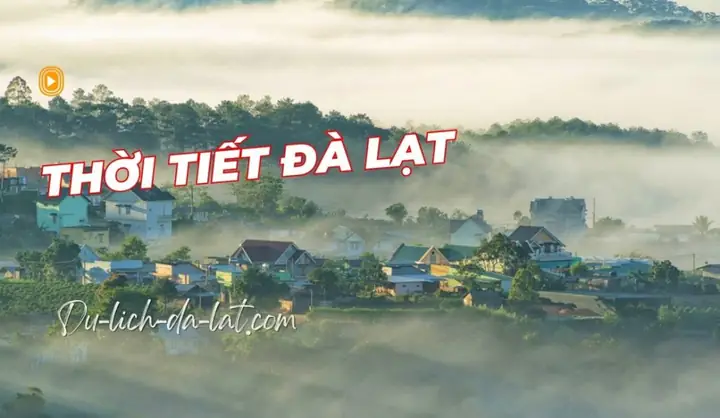 Dự Báo Thời Tiết Đà Lạt Ngày Mai Chính Xác: Nhiệt Độ Và Cảnh Báo Thời Tiết Dự Báo Thời Tiết Đà Lạt Ngày Mai Chính Xác: Nhiệt Độ Và Cảnh Báo Thời Tiết
