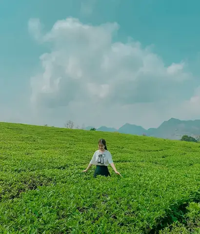 Thời Tiết Mộc Châu Tháng 10: Dự Báo Chi Tiết, Nhiệt Độ Trung Bình Và Mẹo Du Lịch Mùa Thu Thời Tiết Mộc Châu Tháng 10: Dự Báo Chi Tiết, Nhiệt Độ Trung Bình Và Mẹo Du Lịch Mùa Thu