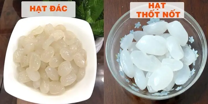 Thốt Nốt Ở Đâu? Giải Mã Địa Danh Và Cây Thốt Nốt Đặc Sản Thốt Nốt Ở Đâu? Giải Mã Địa Danh Và Cây Thốt Nốt Đặc Sản