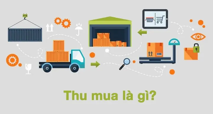 Thu Mua Là Gì? Tổng Quan Về Quy Trình Và Vai Trò Của Nghề Thu Mua Trong Doanh Nghiệp Thu Mua Là Gì? Tổng Quan Về Quy Trình Và Vai Trò Của Nghề Thu Mua Trong Doanh Nghiệp
