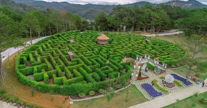 Thung Lũng Tình Yêu Đà Lạt: Hướng Dẫn Địa Điểm, Vé Tham Quan & Lịch Trình Chi Tiết