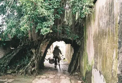Tìm Hiểu Về Thường Tín: Tổng Quan Huyện Ngoại Thành Hà Nội Và Thông Tin Sáp Nhập Tìm Hiểu Về Thường Tín: Tổng Quan Huyện Ngoại Thành Hà Nội Và Thông Tin Sáp Nhập