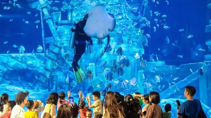 Khám Phá Thủy Cung Lotte World Aquarium Hà Nội: Giá Vé Và Thông Tin Trải Nghiệm Chi Tiết Khám Phá Thủy Cung Lotte World Aquarium Hà Nội: Giá Vé Và Thông Tin Trải Nghiệm Chi Tiết