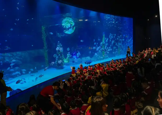 Khám Phá Thủy Cung Lotte World Aquarium Hà Nội: Giá Vé Và Thông Tin Trải Nghiệm Chi Tiết Khám Phá Thủy Cung Lotte World Aquarium Hà Nội: Giá Vé Và Thông Tin Trải Nghiệm Chi Tiết