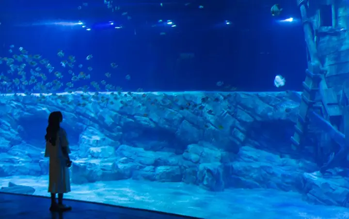 Khám Phá Thủy Cung Lotte World Aquarium Hà Nội: Giá Vé Và Thông Tin Trải Nghiệm Chi Tiết Khám Phá Thủy Cung Lotte World Aquarium Hà Nội: Giá Vé Và Thông Tin Trải Nghiệm Chi Tiết