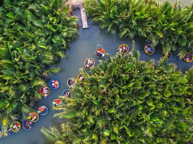 Thuyết Minh Chi Tiết Về Rừng Dừa Bảy Mẫu: Lịch Sử, Vị Trí Và Hướng Dẫn Tham Quan Thuyết Minh Chi Tiết Về Rừng Dừa Bảy Mẫu: Lịch Sử, Vị Trí Và Hướng Dẫn Tham Quan