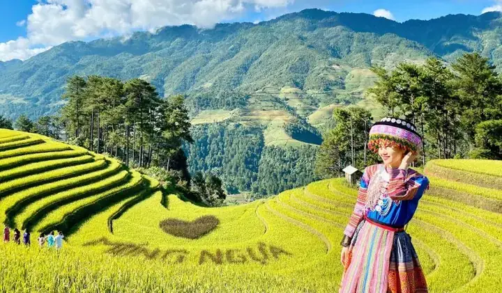 Thuyết Minh Về Ruộng Bậc Thang: Định Nghĩa, Đặc Điểm Và Ví Dụ Mẫu Cho Học Sinh