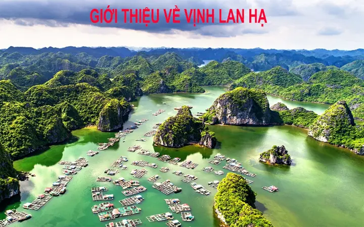 Thuyết Minh Về Vịnh Lan Hạ: Địa Lý, Lịch Sử, Sinh Thái Và Những Điểm Tham Quan Nổi Bật Thuyết Minh Về Vịnh Lan Hạ: Địa Lý, Lịch Sử, Sinh Thái Và Những Điểm Tham Quan Nổi Bật