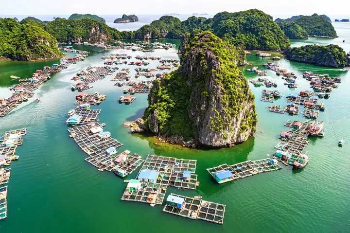 Thuyết Minh Về Vịnh Lan Hạ: Địa Lý, Lịch Sử, Sinh Thái Và Những Điểm Tham Quan Nổi Bật Thuyết Minh Về Vịnh Lan Hạ: Địa Lý, Lịch Sử, Sinh Thái Và Những Điểm Tham Quan Nổi Bật