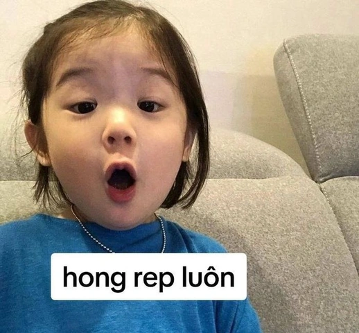 100+ Hình Ảnh Hài Hước Đầy Sảng Khoái 2026 – Tìm Ngay Để Thư Giãn?