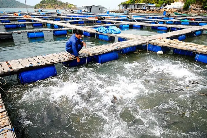 Tổng Hợp Tin Tuyển Dụng Việc Làm Rạch Giá Kiên Giang Mới Nhất Tổng Hợp Tin Tuyển Dụng Việc Làm Rạch Giá Kiên Giang Mới Nhất