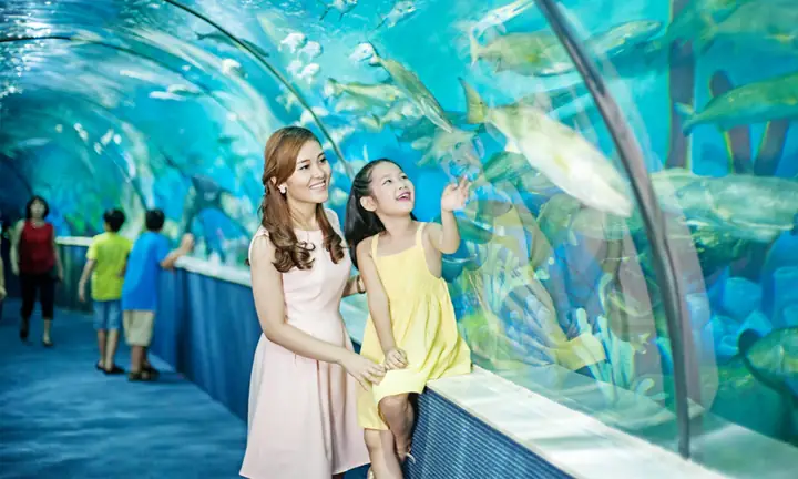 Times City Hà Nội Có Gì? Hướng Dẫn Chi Tiết Các Khu Vui Chơi, Thủy Cung Và Tiện Ích Times City Hà Nội Có Gì? Hướng Dẫn Chi Tiết Các Khu Vui Chơi, Thủy Cung Và Tiện Ích