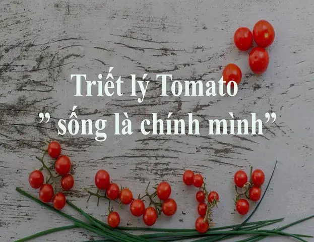 Tomato Nghĩa Là Gì? Giải Mã Ý Nghĩa Từ Vựng Và Các Sắc Thái Sử Dụng Tomato Nghĩa Là Gì? Giải Mã Ý Nghĩa Từ Vựng Và Các Sắc Thái Sử Dụng