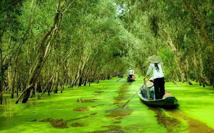 Tour Du Lịch Rừng Tràm Trà Sư 2 Ngày 1 Đêm: Lịch Trình, Giá Cả Và Mẹo Chuẩn Bị Tour Du Lịch Rừng Tràm Trà Sư 2 Ngày 1 Đêm: Lịch Trình, Giá Cả Và Mẹo Chuẩn Bị