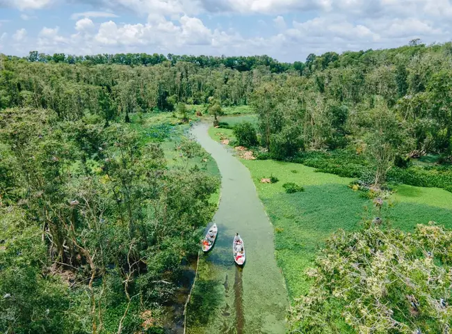 Tour Du Lịch Rừng Tràm Trà Sư 2 Ngày 1 Đêm: Lịch Trình, Giá Cả Và Mẹo Chuẩn Bị Tour Du Lịch Rừng Tràm Trà Sư 2 Ngày 1 Đêm: Lịch Trình, Giá Cả Và Mẹo Chuẩn Bị