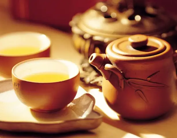 Trà Đinh Là Gì? Tại Sao Loại Trà Thượng Hạng Này Lại Đắt Đỏ? Trà Đinh Là Gì? Tại Sao Loại Trà Thượng Hạng Này Lại Đắt Đỏ?