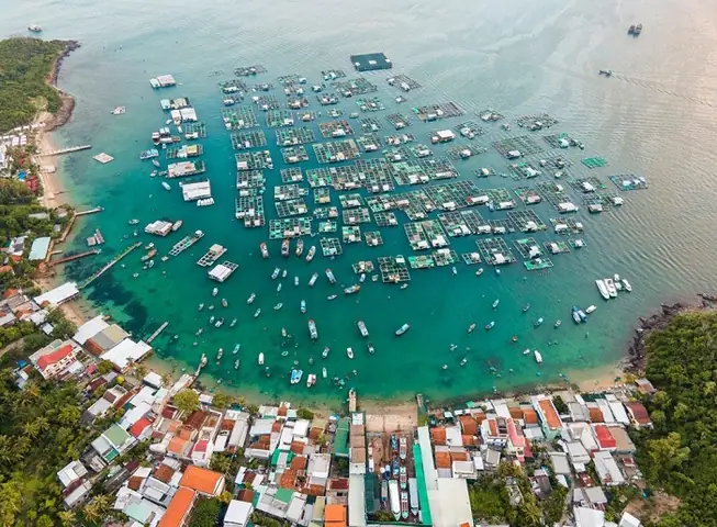 Trải Nghiệm Đảo Trí Nguyên Nha Trang: Hướng Dẫn Du Lịch, Cách Di Chuyển & Điểm Tham Quan Chính Trải Nghiệm Đảo Trí Nguyên Nha Trang: Hướng Dẫn Du Lịch, Cách Di Chuyển & Điểm Tham Quan Chính