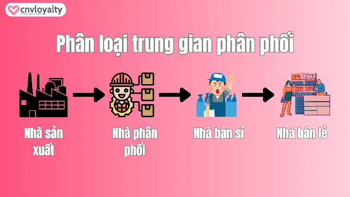 Trung Gian Phân Phối Là Gì? Vai Trò Và Các Hình Thức Phổ Biến Trong Kinh Doanh Trung Gian Phân Phối Là Gì? Vai Trò Và Các Hình Thức Phổ Biến Trong Kinh Doanh