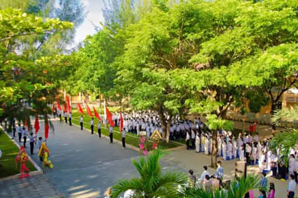 Thông Tin Chi Tiết Trường Thpt Trần Quý Cáp – Lịch Sử, Chương Trình Học Và Điểm Mạnh Cho Phụ Huynh & Học Sinh