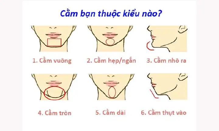 Tướng Cằm Nhô Ra Phía Trước Tướng Cằm Nhô Ra Phía Trước