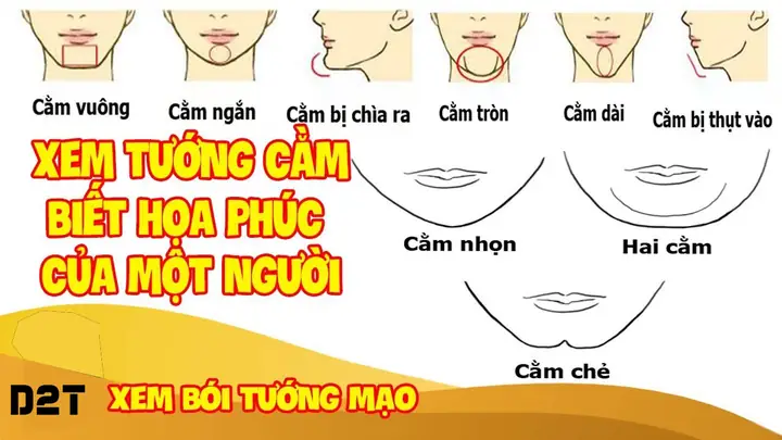 Tướng Đàn Ông Cằm Nhọn Tướng Đàn Ông Cằm Nhọn