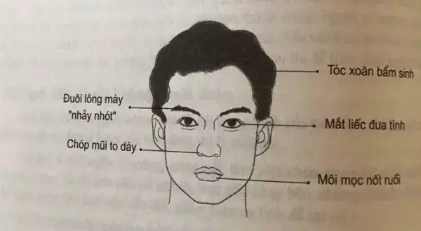 Tướng Đàn Ông Khó Tính Tướng Đàn Ông Khó Tính