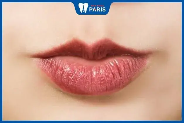 Tướng Đàn Ông Môi Trên Mỏng Môi Dưới Dày