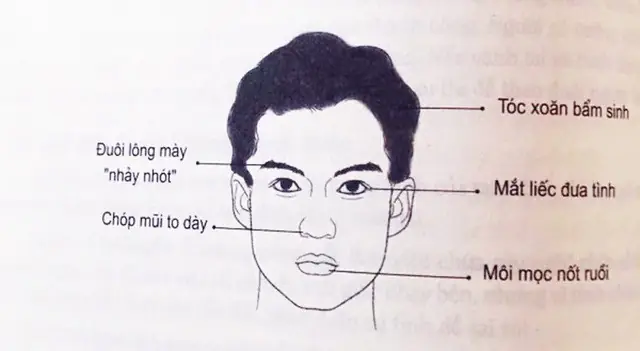 Tướng Đàn Ông Trăng Hoa Tướng Đàn Ông Trăng Hoa