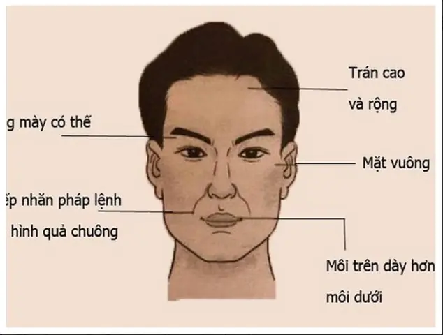 Tướng Đàn Ông Trăng Hoa Tướng Đàn Ông Trăng Hoa