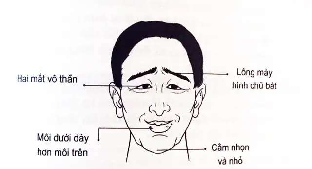 Tướng Đàn Ông Trăng Hoa Tướng Đàn Ông Trăng Hoa