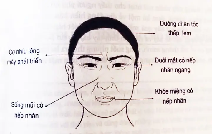 Tướng Đàn Ông Trăng Hoa Tướng Đàn Ông Trăng Hoa