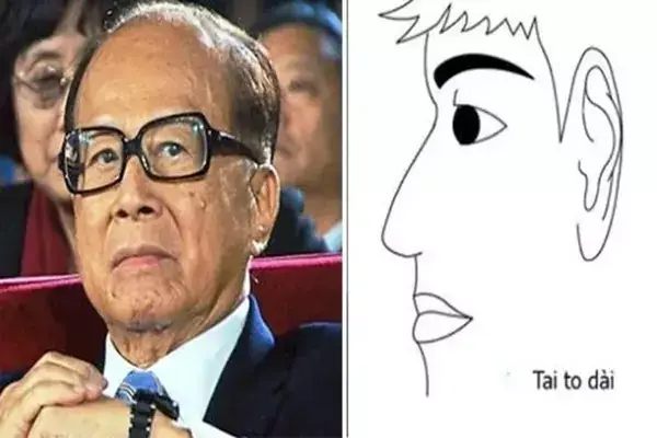 Tướng Làm Quan Là Gì Tướng Làm Quan Là Gì