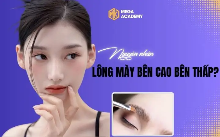 Tướng Lông Mày Bên Cao Bên Thấp Tướng Lông Mày Bên Cao Bên Thấp