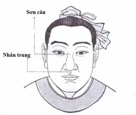 Tướng Lông Mày Đàn Ông Vũ Phu Tướng Lông Mày Đàn Ông Vũ Phu