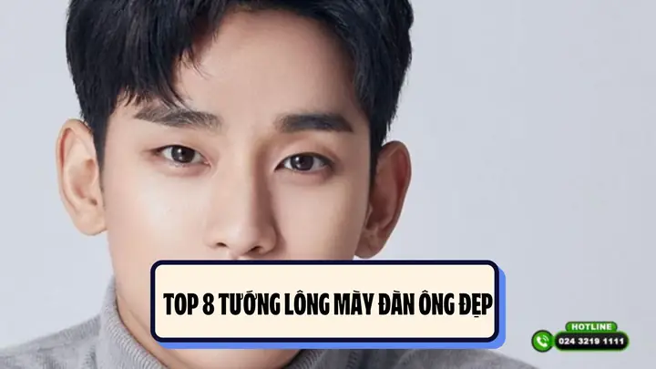 Tướng Lông Mày Phú Quý