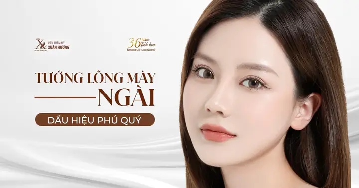 Tướng Lông Mày Phú Quý