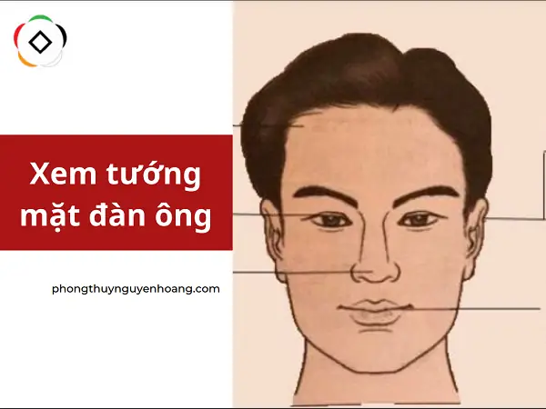 Tướng Mắt Đàn Ông Tướng Mắt Đàn Ông