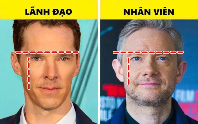 Tướng Mặt Đàn Ông Lãnh Đạo Tướng Mặt Đàn Ông Lãnh Đạo