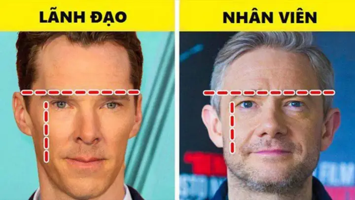 Tướng Mặt Đàn Ông Lãnh Đạo Tướng Mặt Đàn Ông Lãnh Đạo