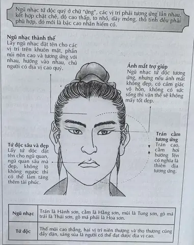 Tướng Mặt To Ngũ Quan Nhỏ