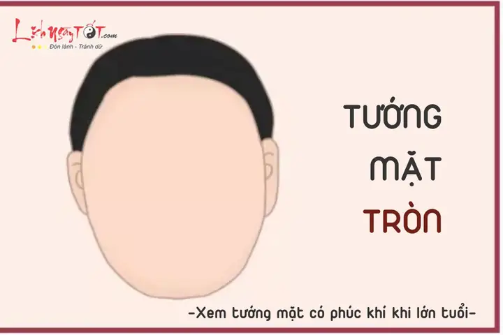 Tướng Mặt Tròn Nam Tướng Mặt Tròn Nam